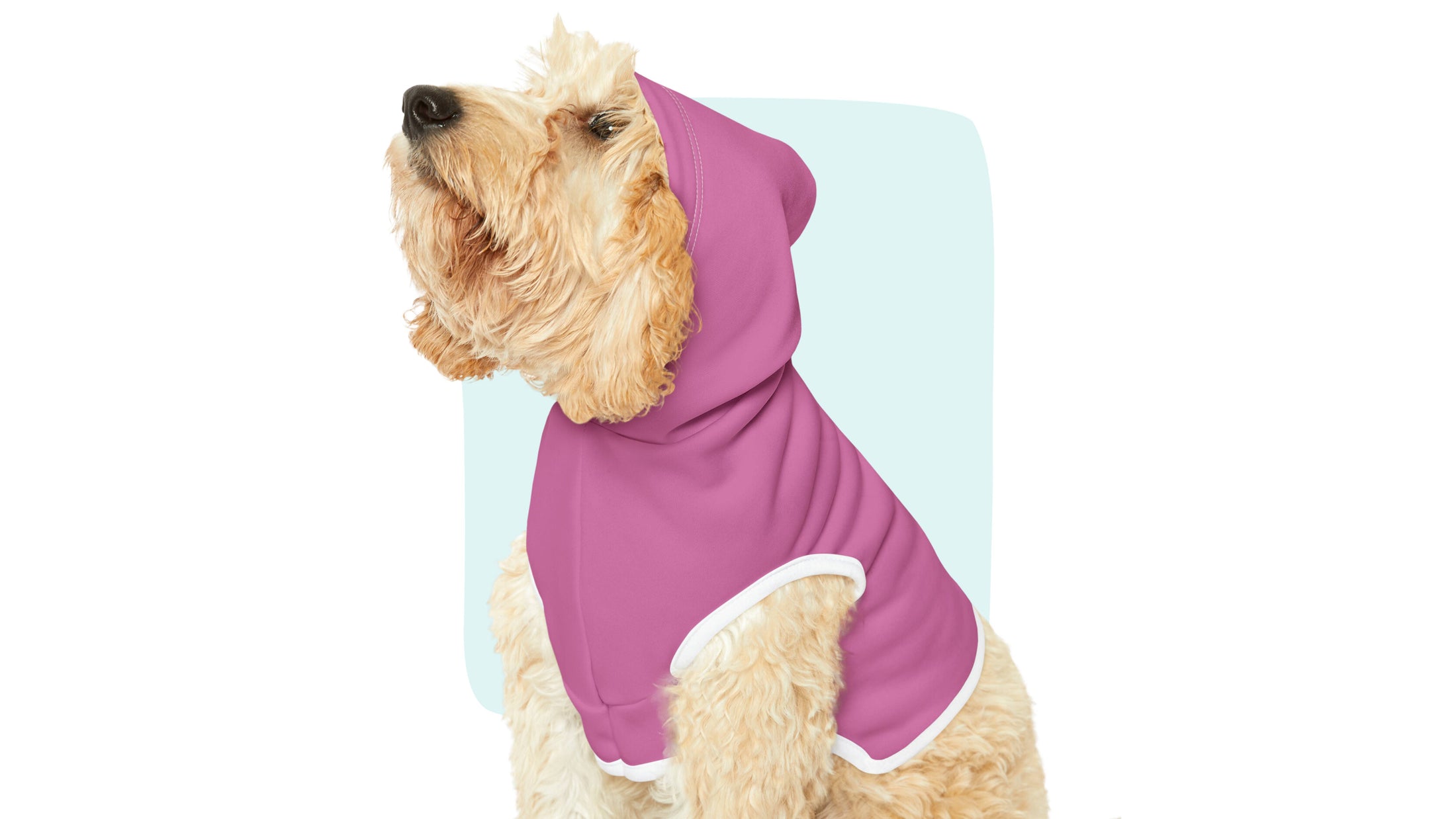 Sample photo of a dog wearing a pink custom pet hoodie with line art of his face.