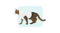 Load image into Gallery viewer, Sample photo of a dog wearing a white custom pet hoodie with line art of his face.
