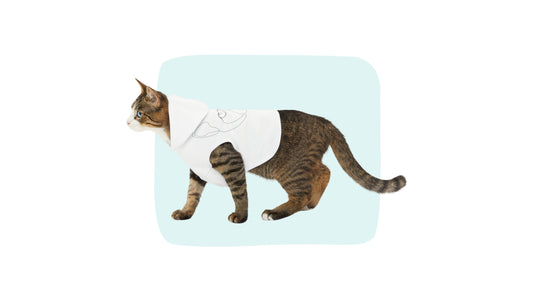 Sample photo of a cat wearing a white custom pet hoodie with line art of his face.