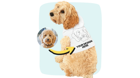 Sample photo of a dog wearing a white custom pet hoodie with line art of his face.